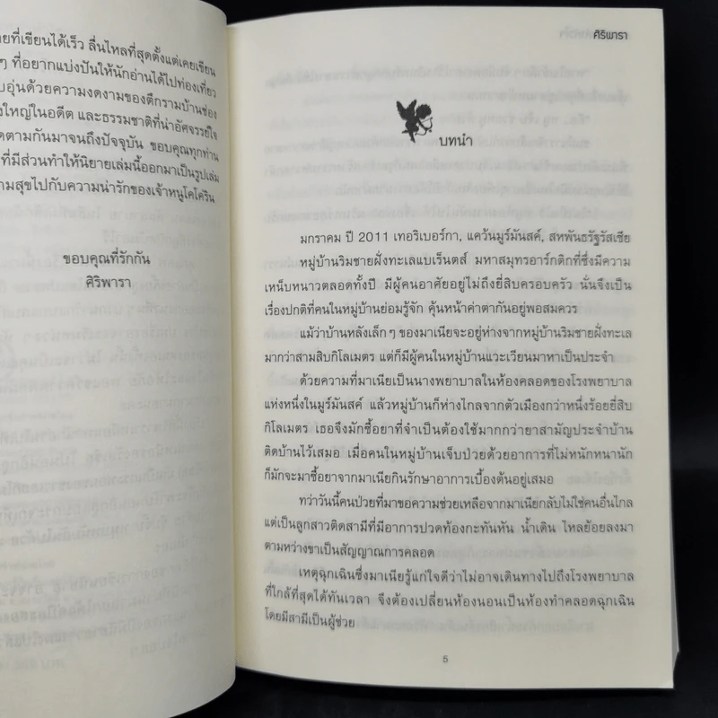 กามเทพล่าหัวใจ + เล่ห์พรหมพร่างรัก + พรหมลิขิตใต้ปีกรัก รูปที่ 9
