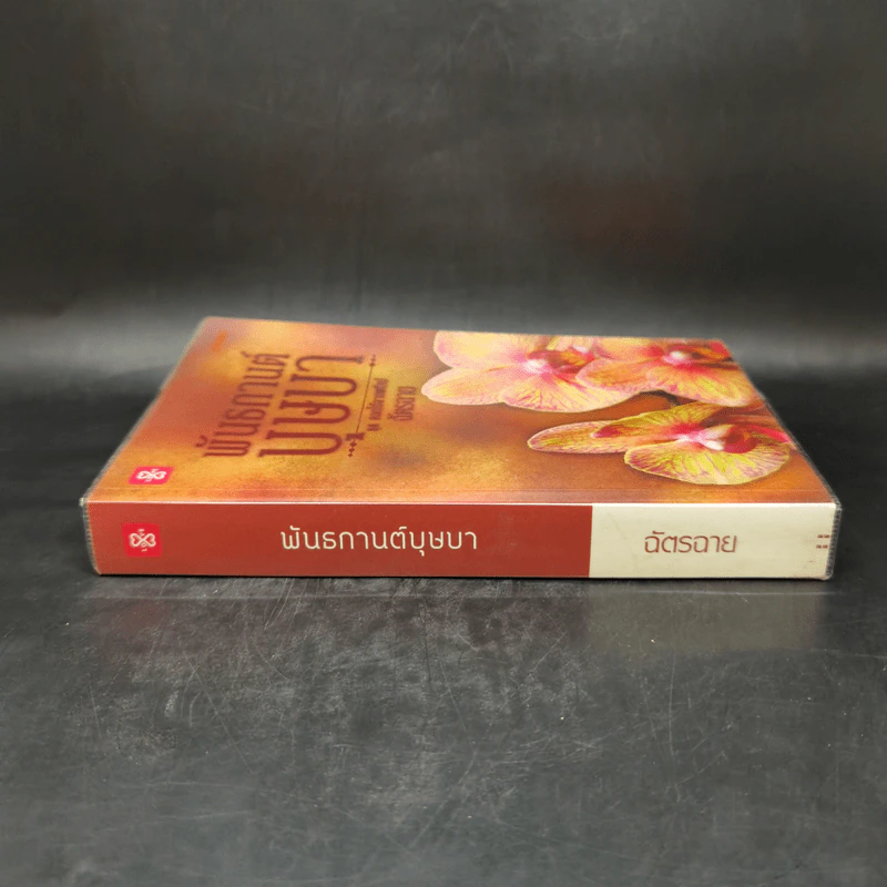 พันธกานต์บุษบา - ฉัตรฉาย รูปที่ 3