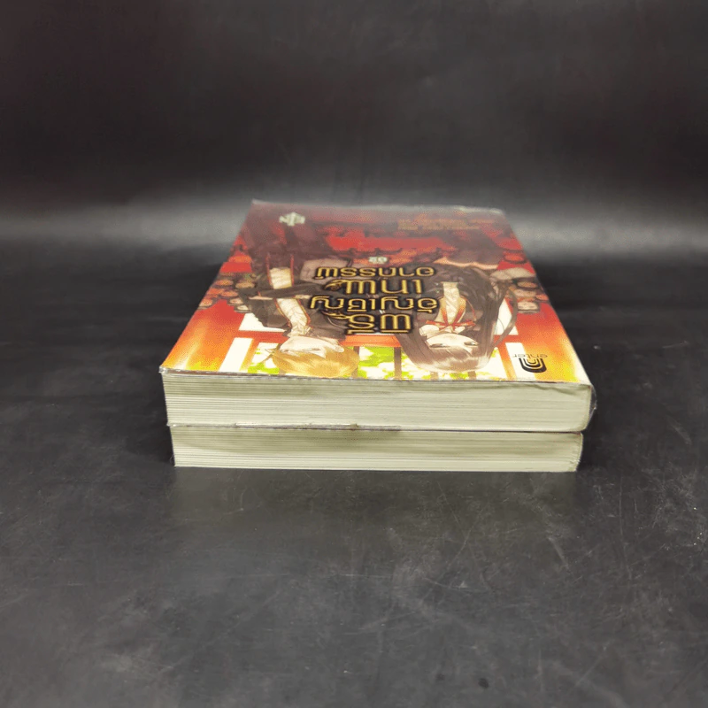 พิธีอัญเชิญเทพอาถรรพ์ เล่ม 1-2 - AKIHIKO ODO รูปที่ 6