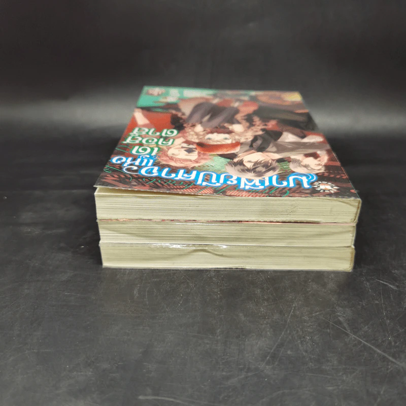 มาเฟียปีศาจแห่งเด คอสตาส์ เล่ม 1-3 - Kita Midori รูปที่ 5