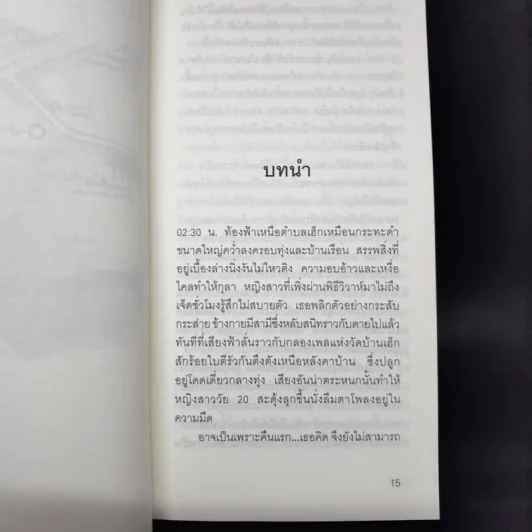 The Trips ทริปส์ - วิสิทธิ์ โพธิวัฒน์ รูปที่ 10