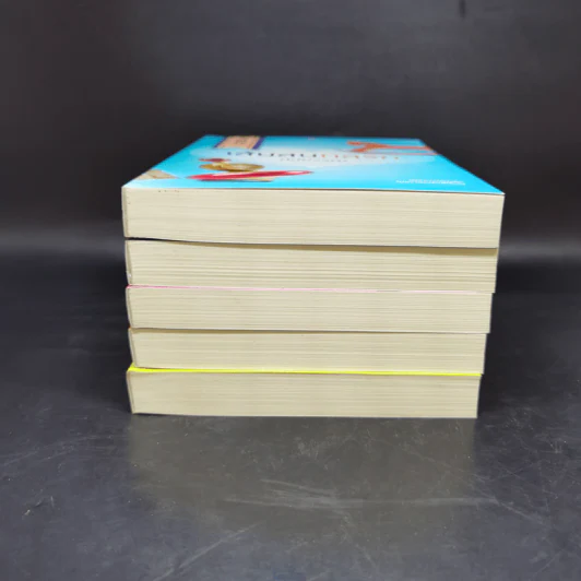 Boxset My Hero วีรบุรุษสุดที่รัก 5 เล่ม รูปที่ 5