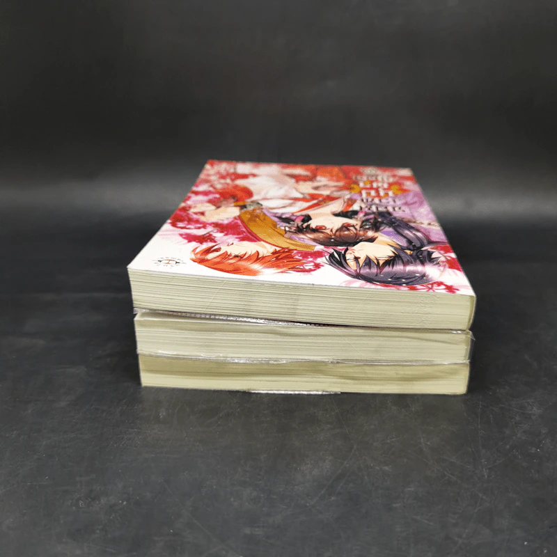 จอมเวทบุปผาแดง 3 เล่มจบ - Nagano Mizuki รูปที่ 5