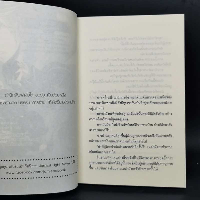 ตำนานรักจอมมารสลับขั้ว 3 เล่มจบ - Kaida Shino รูปที่ 10