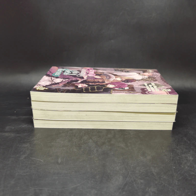 เจ้าหญิงจอมฟลุกกับอัศวินโต๊ะกลม เล่ม 1-4 - Ishida Rinne รูปที่ 4