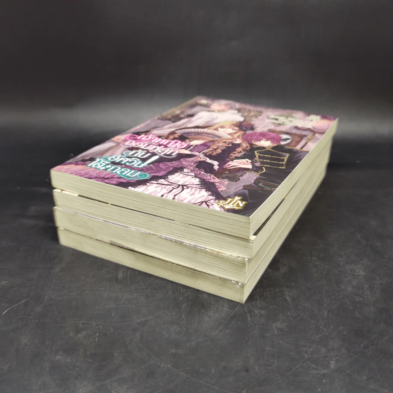 เจ้าหญิงจอมฟลุกกับอัศวินโต๊ะกลม เล่ม 1-4 - Ishida Rinne รูปที่ 6