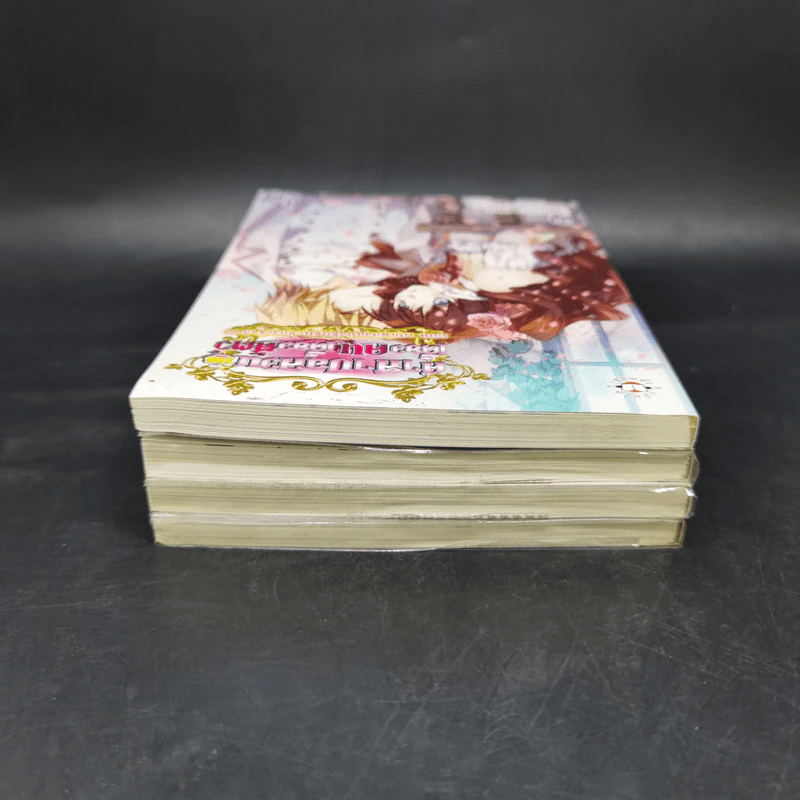 คำสาปอลวน เดี๋ยวคนเดี๋ยวสัตว์ 4 เล่มจบ - Gou Siira รูปที่ 5
