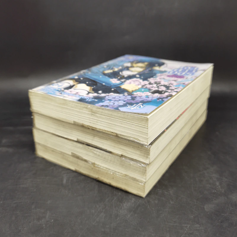 เจ้าสาวอสูร เล่ม 1-4 - ริสะ (LISA) รูปที่ 6
