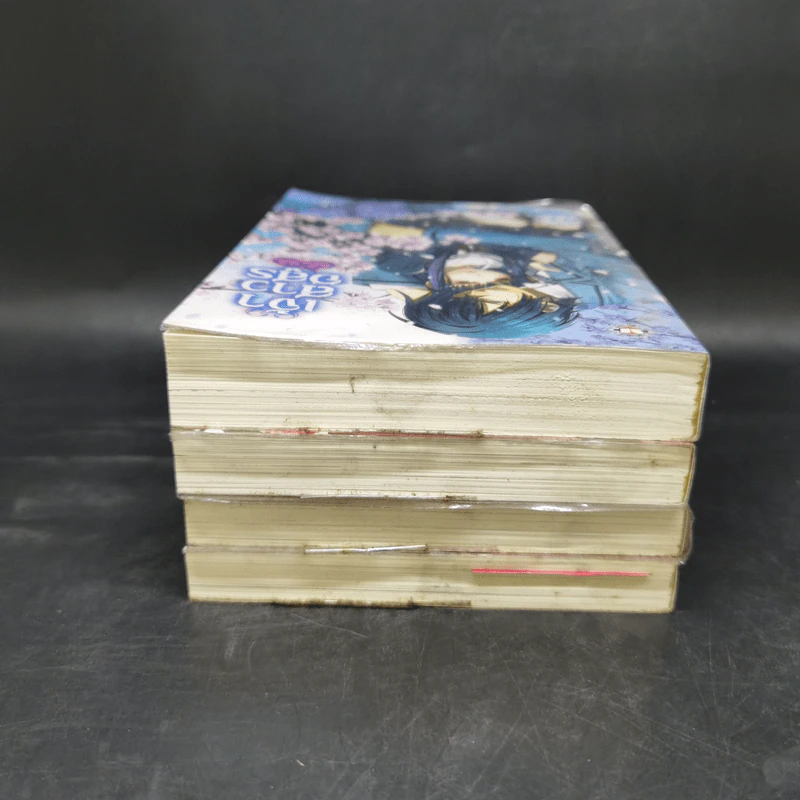 เจ้าสาวอสูร เล่ม 1-4 - ริสะ (LISA) รูปที่ 5