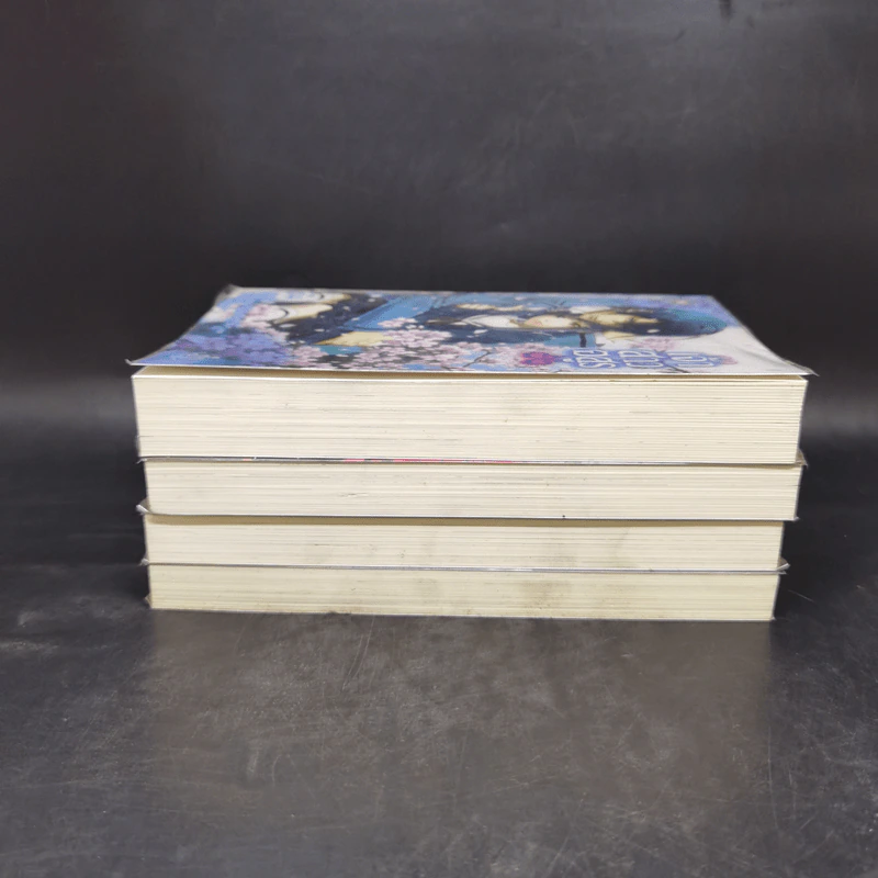 เจ้าสาวอสูร เล่ม 1-4 - ริสะ (LISA) รูปที่ 4
