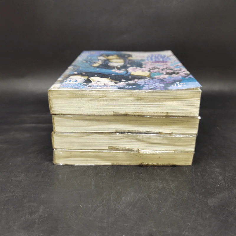 เจ้าสาวอสูร เล่ม 1-4 - ริสะ (LISA) รูปที่ 3