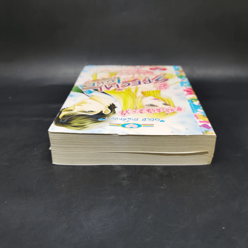 การ์ตูนหมึกจีน Special Love 9 Gold รักนี้สีทอง 1 รูปที่ 6