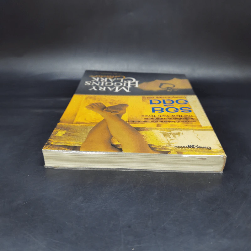 รอยอดีต Daddy's Little Girl - Marry Higgins Clark รูปที่ 6