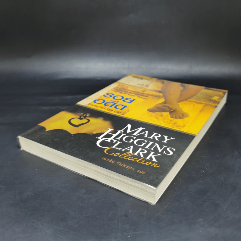 รอยอดีต Daddy's Little Girl - Marry Higgins Clark รูปที่ 7