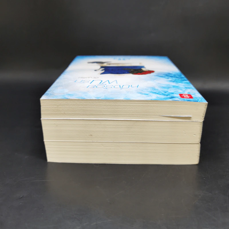 Boxset ชุด Charming Triplets หล่อร้ายยกกำลังสาม 3 เล่ม - อัญชรีย์ รูปที่ 9