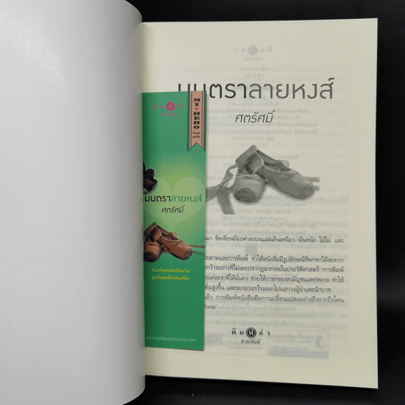 Boxset My Hero วีรบุรุษสุดที่รัก 5 เล่ม รูปที่ 20