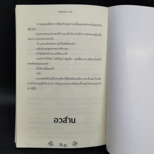 ซีรีส์ชุด โสเภณียอดรัก 3 เล่ม - baiboau ใบบัว รูปที่ 13