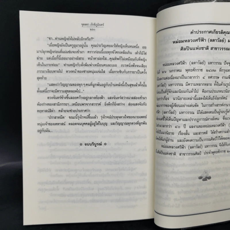 ปราสาทมืด - จุลลดา ภักดีภูมินทร์ รูปที่ 11