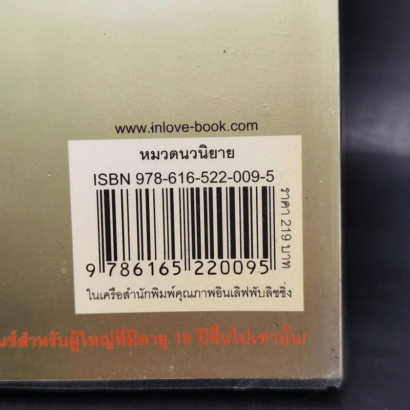 บ่วงพิศวาสจอมมาร - มณีจันท์ รูปที่ 11