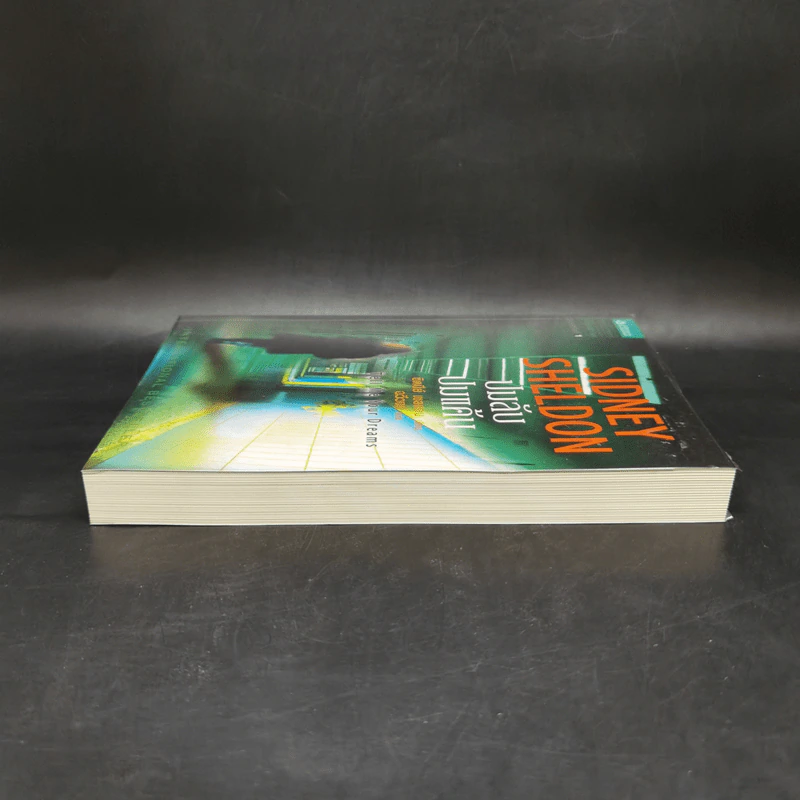 ปมลับปมแค้น - Sidney Sheldon รูปที่ 5