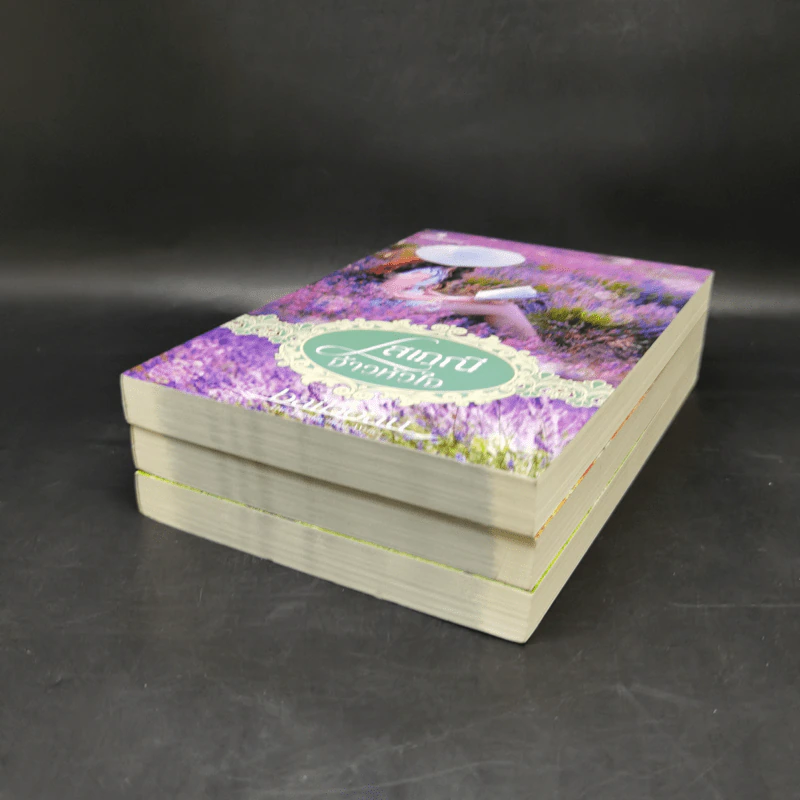 ซีรีส์ชุด โสเภณียอดรัก 3 เล่ม - baiboau ใบบัว รูปที่ 6