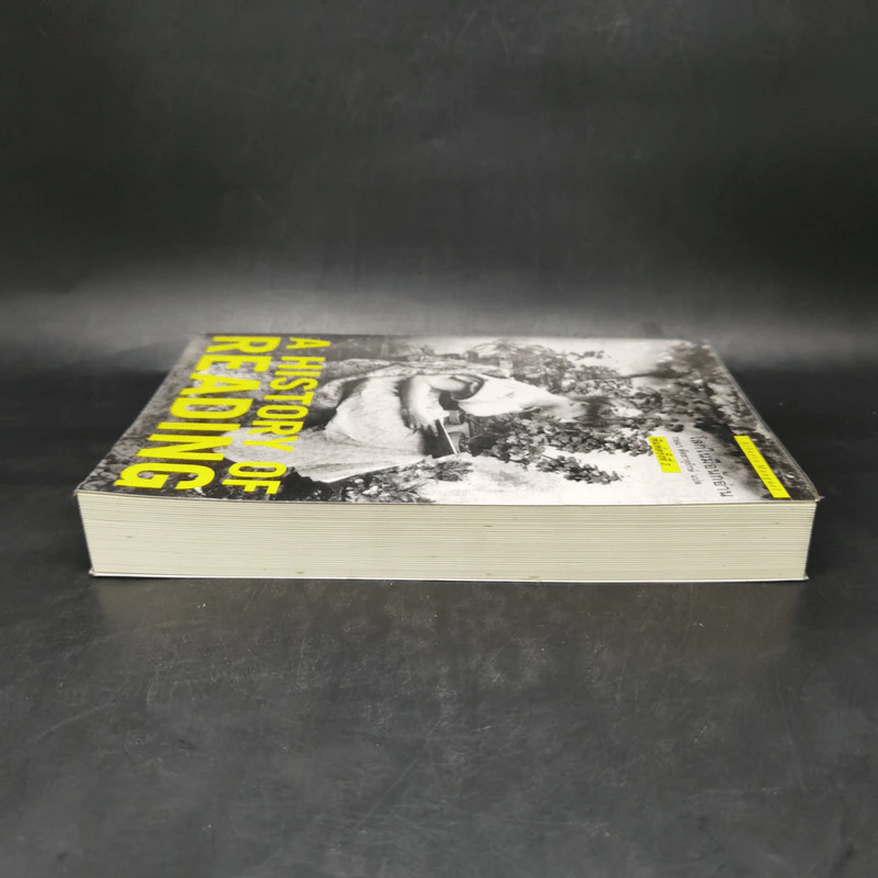 A History of Reading โลกในมือนักอ่าน - Alberto Manguel รูปที่ 5