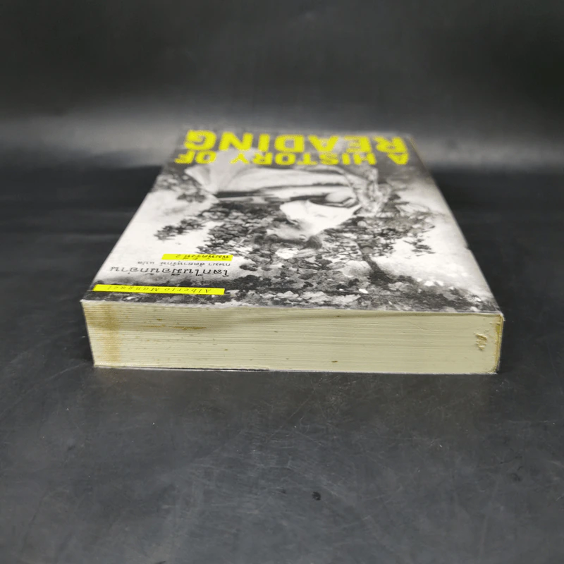 A History of Reading โลกในมือนักอ่าน - Alberto Manguel รูปที่ 6