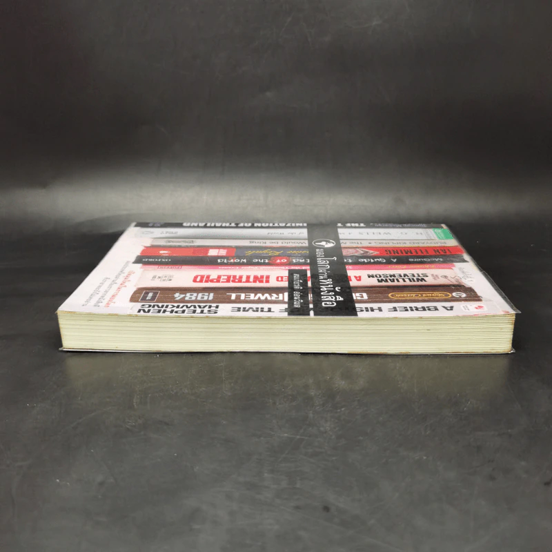 มองโลกผ่านหนังสือ - สมเกียรติ อ่อนวิมล รูปที่ 5