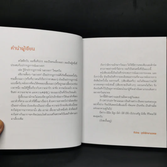 คิดแคต - ทีปกร วุฒิพิทยามงคล รูปที่ 8