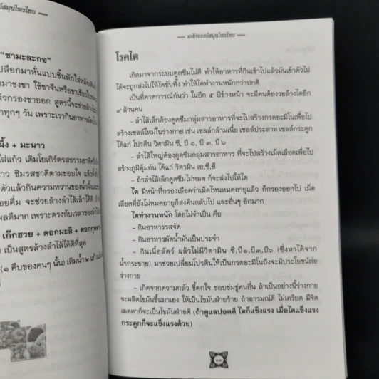 มหัศจรรย์สมุนไพรไทย บทสวดมนต์ศักดิ์สิทธิ์ รูปที่ 10