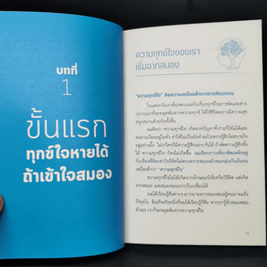 ฝึกสมองไม่ให้ทุกข์ - Toshinori Kato รูปที่ 13