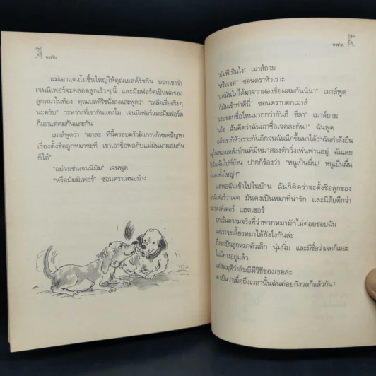ชีลาร้ายที่สุด - จูดี้ บลูม รูปที่ 10