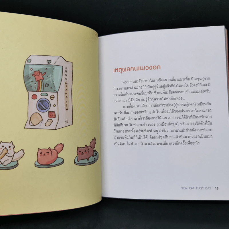 คิดแคต - ทีปกร วุฒิพิทยามงคล รูปที่ 10