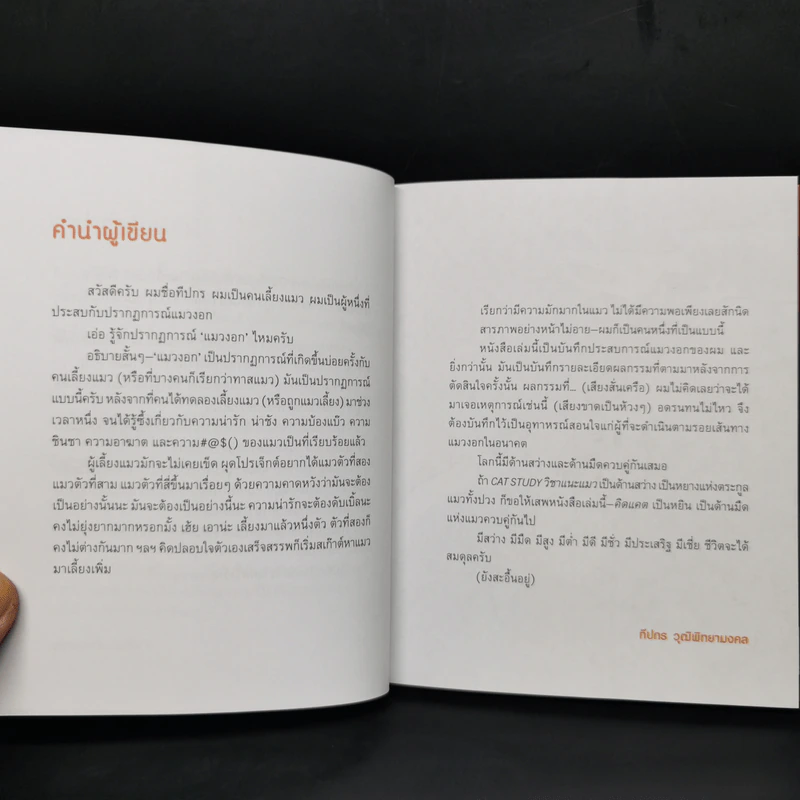 คิดแคต - ทีปกร วุฒิพิทยามงคล รูปที่ 8