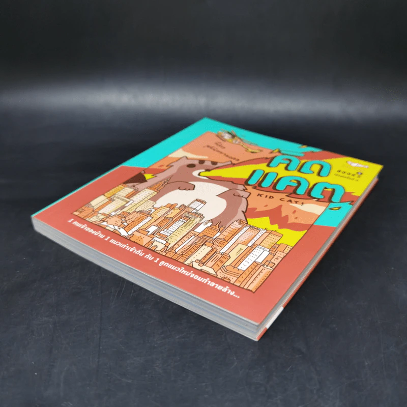 คิดแคต - ทีปกร วุฒิพิทยามงคล รูปที่ 7