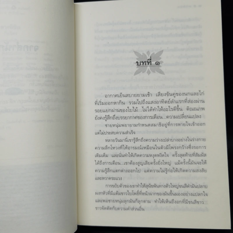 ลางลิขิต - กิ่งฉัตร รูปที่ 9