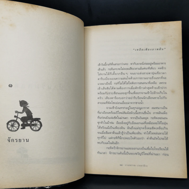 ความสุขของกะทิ ตอน ตามหาพระจันทร์ - งามพรรณ เวชชาชีวะ รูปที่ 11