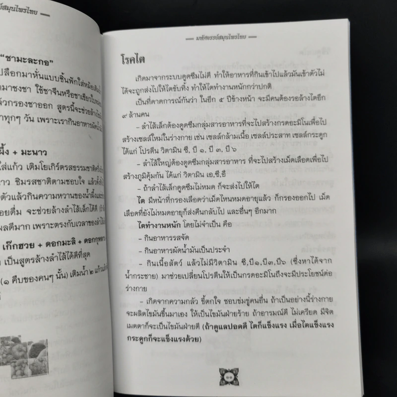 มหัศจรรย์สมุนไพรไทย บทสวดมนต์ศักดิ์สิทธิ์ รูปที่ 10