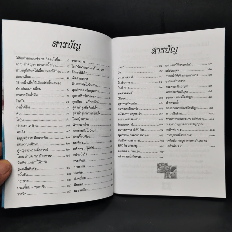 มหัศจรรย์สมุนไพรไทย บทสวดมนต์ศักดิ์สิทธิ์ รูปที่ 8