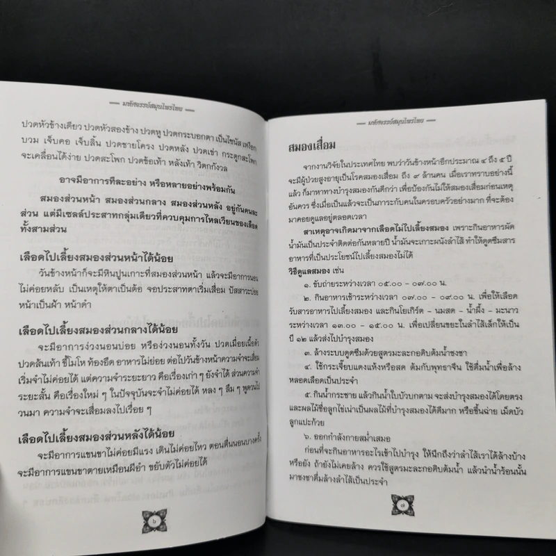 มหัศจรรย์สมุนไพรไทย บทสวดมนต์ศักดิ์สิทธิ์ รูปที่ 9