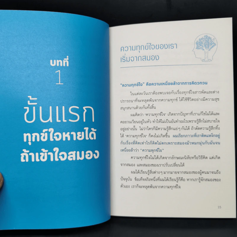 ฝึกสมองไม่ให้ทุกข์ - Toshinori Kato รูปที่ 13