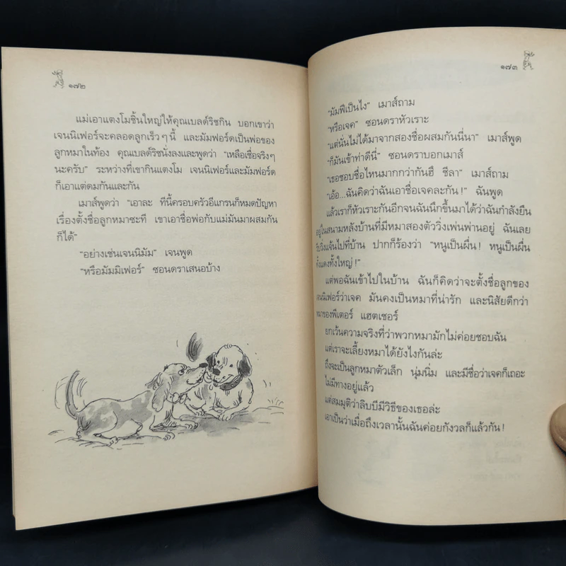 ชีลาร้ายที่สุด - จูดี้ บลูม รูปที่ 10