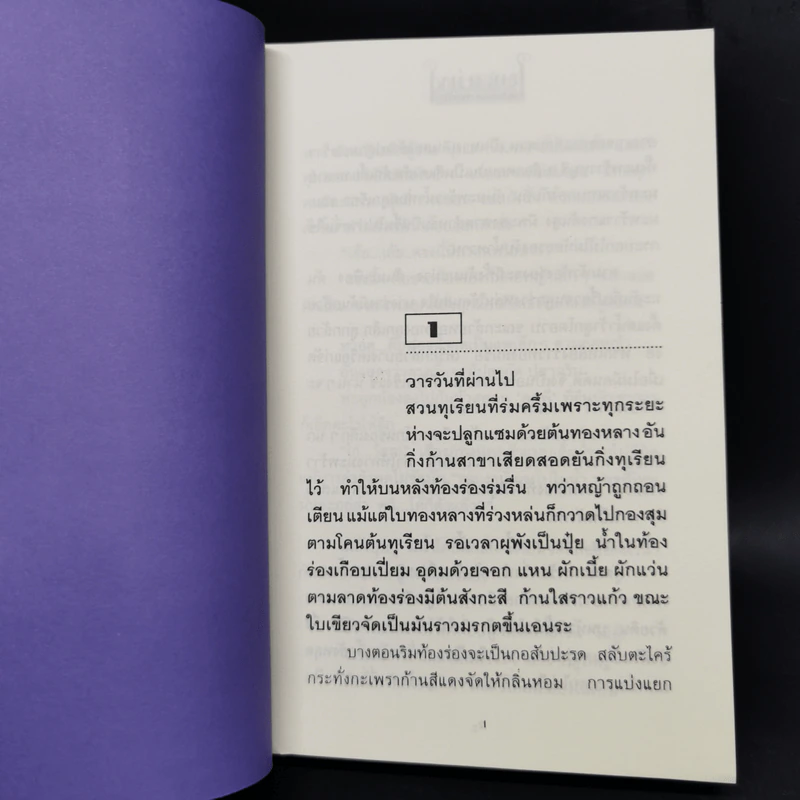 ใยเสน่หา 2 เล่มจบ - ทมยันตี รูปที่ 9