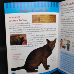 แมวไทย - สุวัฒน์ อัศวไชยชาญ รูปที่ 12