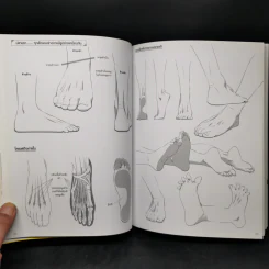 วาดโมเอะคาแรคเตอร์แบบมืออาชีพ ฉบับการวาดคู่ผู้ชาย รูปที่ 12