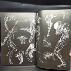 Anatomy for Arttist กายวิภาคอาร์ทิสต์ - มิเชล ลอริเชลลา รูปที่ 18