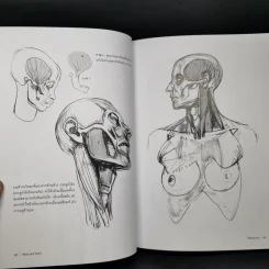Anatomy for Arttist กายวิภาคอาร์ทิสต์ - มิเชล ลอริเชลลา รูปที่ 16