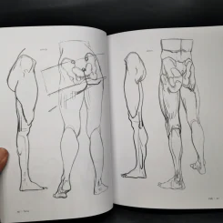 Anatomy for Arttist กายวิภาคอาร์ทิสต์ - มิเชล ลอริเชลลา รูปที่ 17