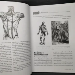 Anatomy for Arttist กายวิภาคอาร์ทิสต์ - มิเชล ลอริเชลลา รูปที่ 12