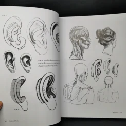 Anatomy for Arttist กายวิภาคอาร์ทิสต์ - มิเชล ลอริเชลลา รูปที่ 15
